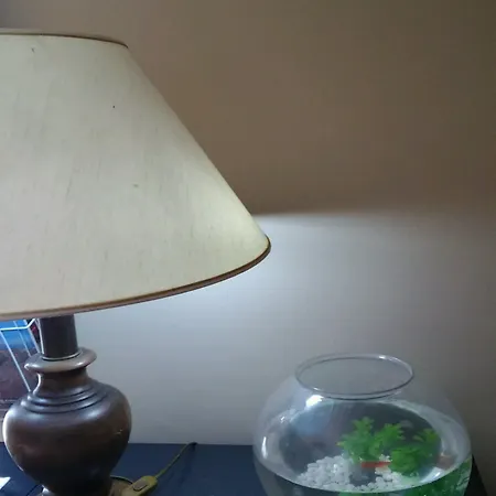 Bed and Breakfast Sweet Two Steps From The Ruins... Πομπηία